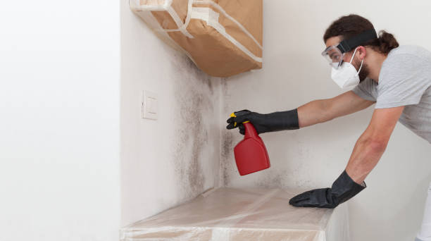 Professional Mold Remediation technician working in Lakeside, OR